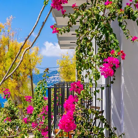 Gæstehus Aphrodite 4*