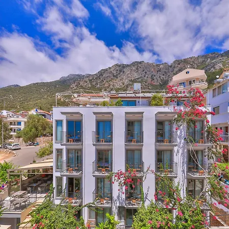 Homestay Aphrodite