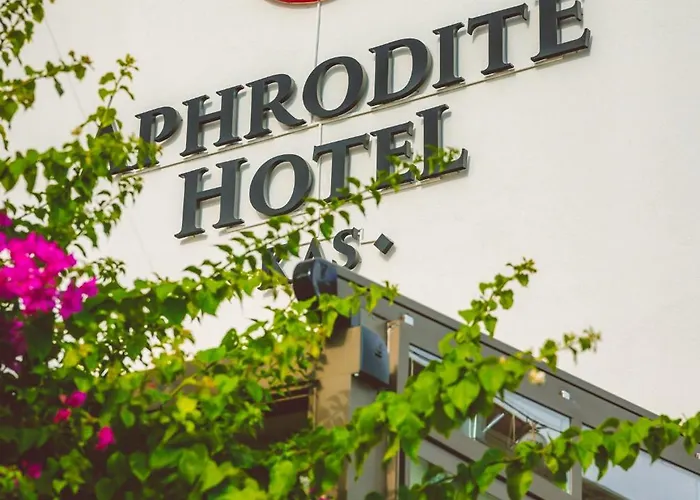 Aphrodite Guest house