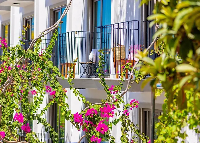 Aphrodite Guest house 4*