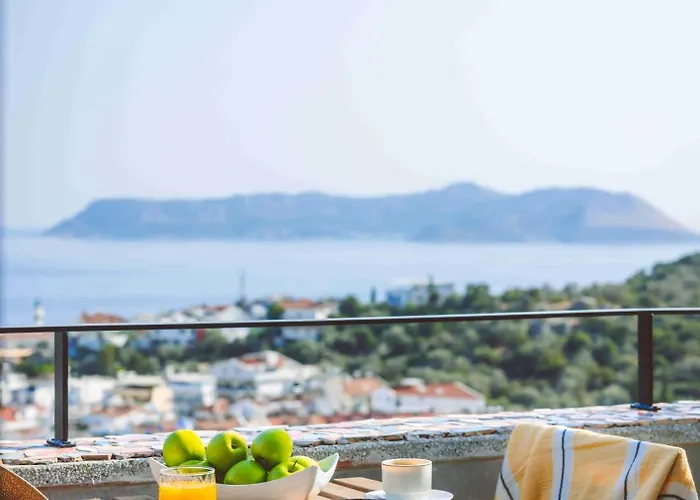 בית הארחה Aphrodite